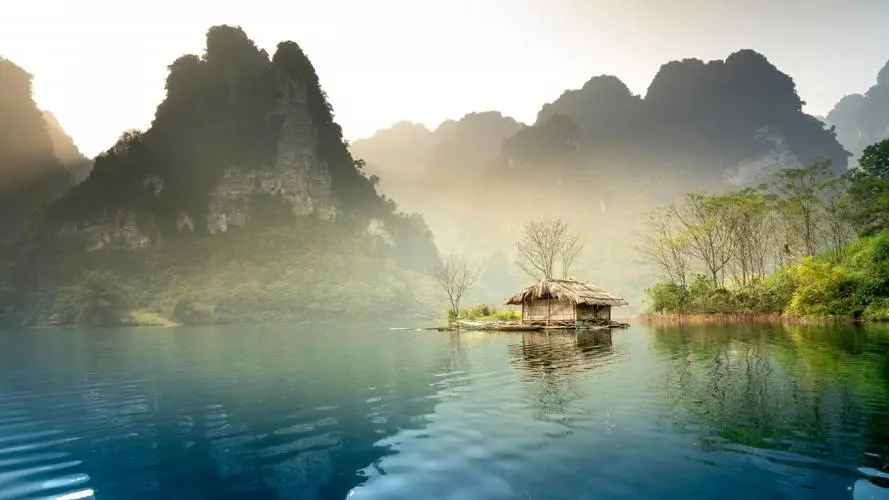 全自动高精度高效